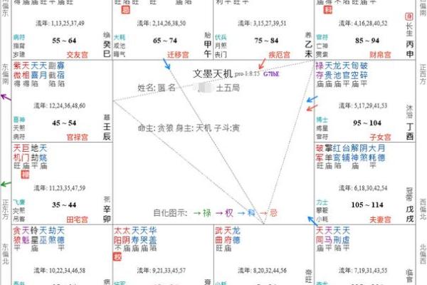 紫微排盘命宫自化忌 紫微斗数自化忌详解之命宫自化忌