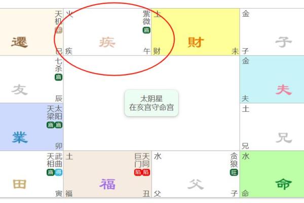 紫薇斗数真实案例知乎