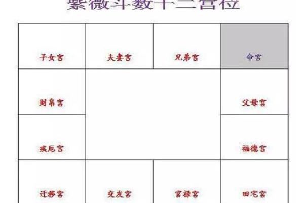 紫薇斗数真实案例知乎
