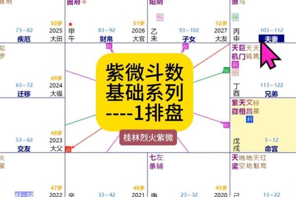 紫薇斗数学霸