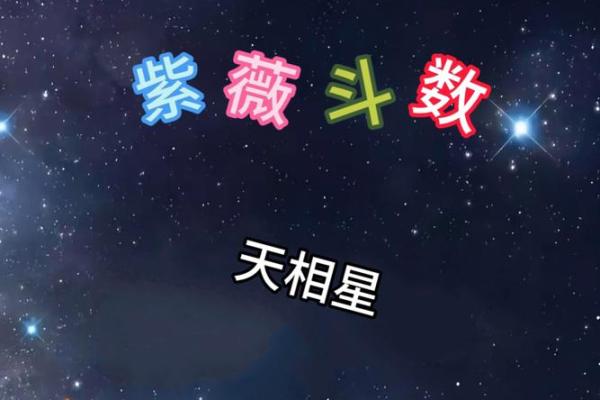 紫薇斗数学霸
