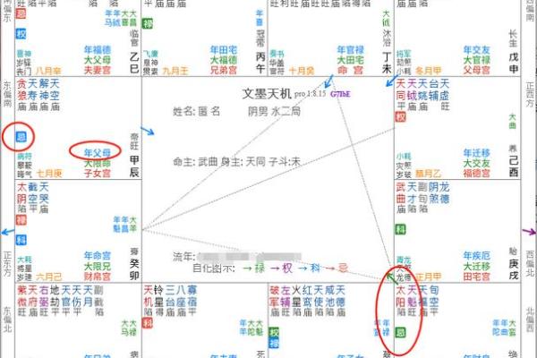 浅谈紫微斗数的六线十二宫