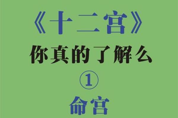紫微斗数成大事的命格,官禄宫事业领导力强