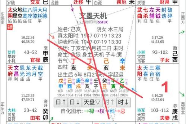 紫薇斗数看样貌