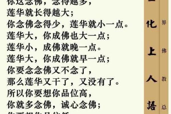 观音姻缘经 观世音菩萨姻缘咒语？