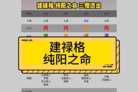 女命八字纯阳有多可怕