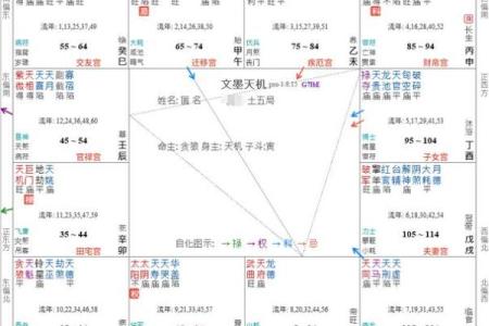 紫微排盘命宫自化忌 紫微斗数自化忌详解之命宫自化忌