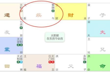紫薇斗数真实案例知乎