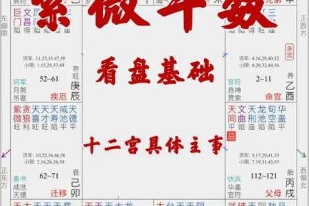 紫微斗数紫薇心语