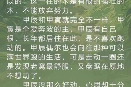 八字合婚 甲寅日柱和己亥日柱在2024龙年婚姻顺利
