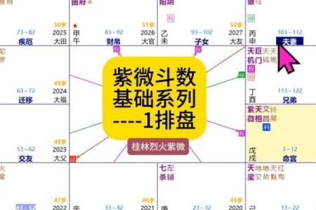 紫薇斗数学霸