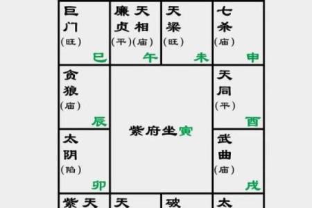 紫薇斗数如看今年流年