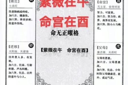 紫薇斗数命宫天月