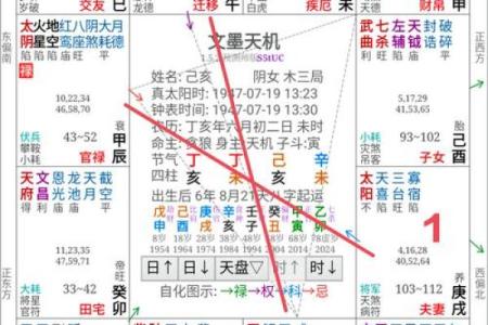 紫薇斗数看样貌