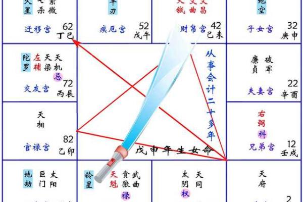 紫薇斗数无主星