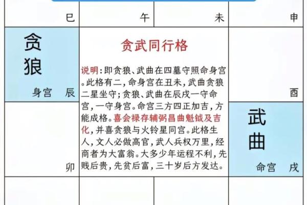 紫薇斗数特殊格局