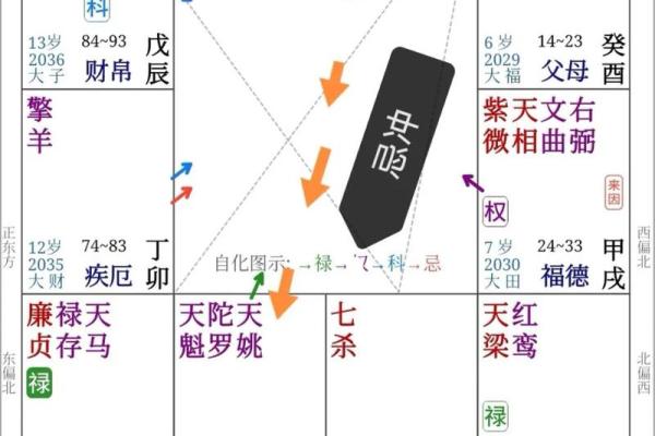 紫薇斗数看子时