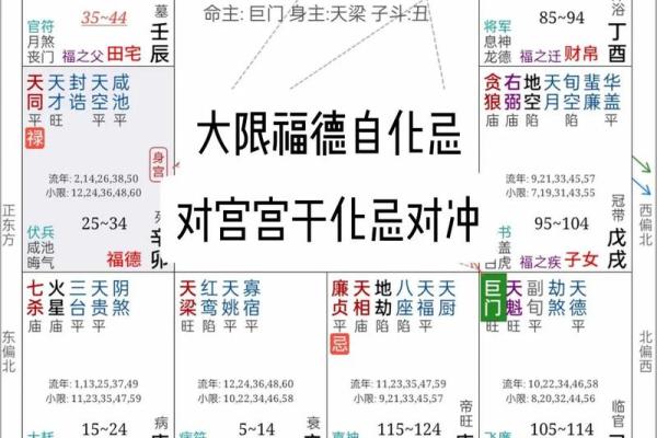 紫薇斗数绝墓