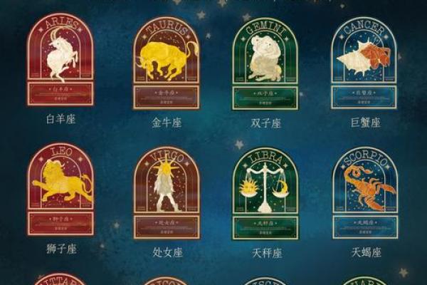 十二星座最适合哪种魔法师