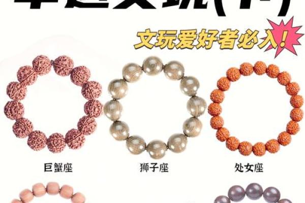 十二星座最适合哪种魔法师