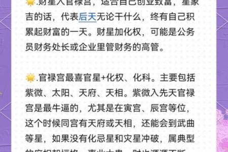 紫薇斗数官禄宫台辅
