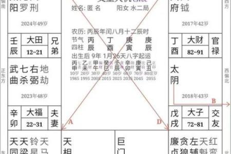紫微斗数之诸星值限年运气推断：辅弼星之年
