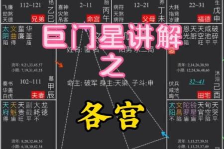 紫微斗数之福德宫与诸星，巨门星在福德宫是什么意思？