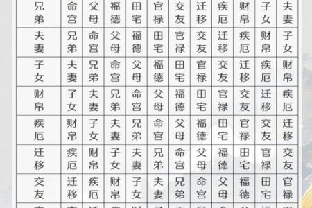 紫薇斗数对拱怎么看