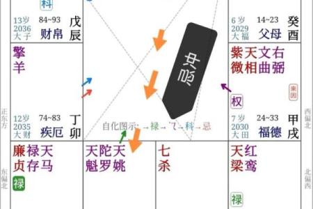 紫薇斗数看子时