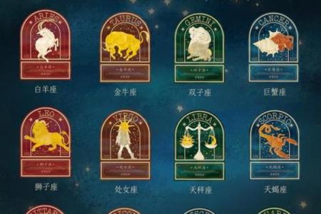 十二星座最适合哪种魔法师