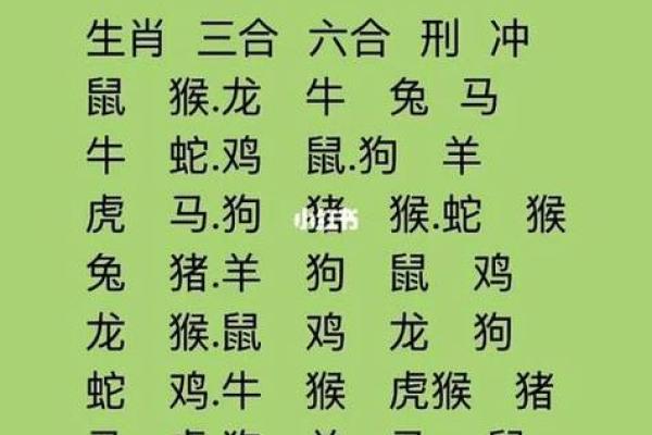 生肖算命婚姻，十二生肖什么属相和龙最配
