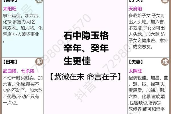 紫薇斗数怎么数岁数