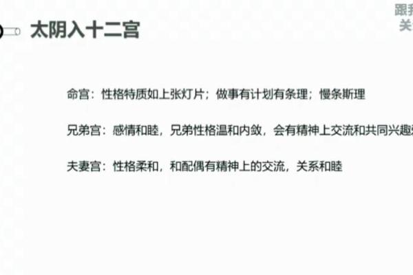 紫薇斗数宗师级