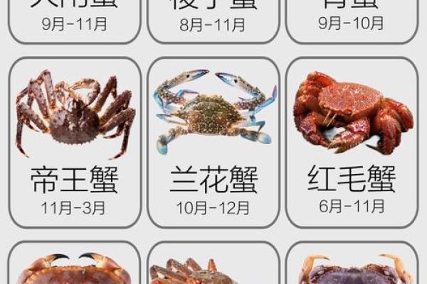 十二星座最适合哪种螃蟹