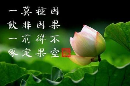 算命说会孝顺婆家是啥意思