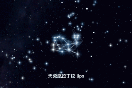 一个兔子头的星座运势