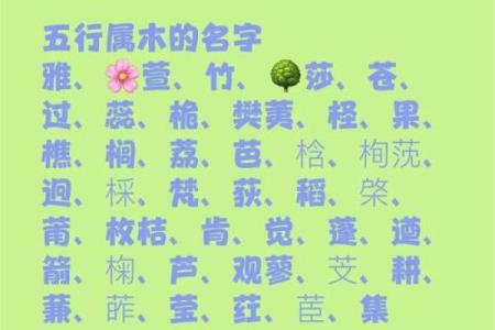 名字的五行解析是什么,名字五行分析测试