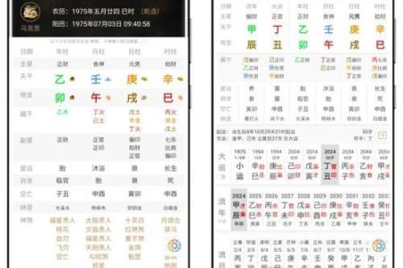 八字排盘算命软件下载