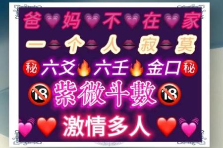 紫薇斗数新浪博客