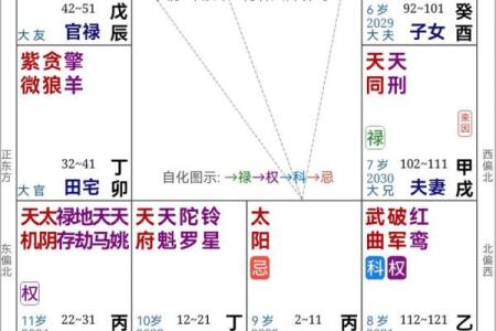 紫薇斗数看家境