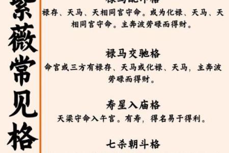 紫薇星入命宫平