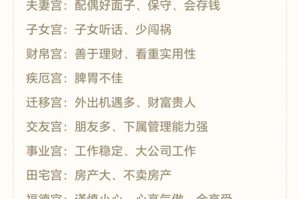 紫薇斗数下载软件