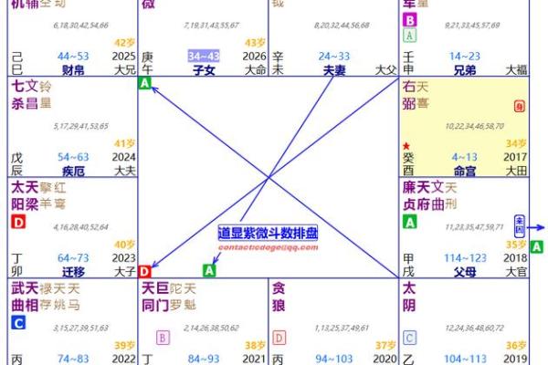 紫薇斗数怎么批命