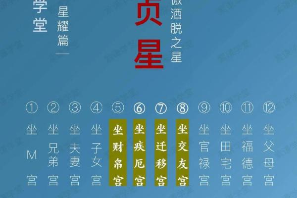 亨贞紫薇斗数