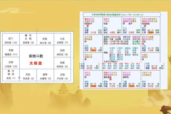 紫薇斗数立太极