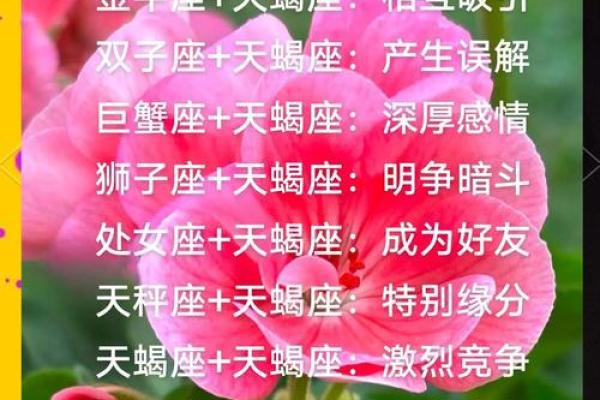 十二星座和天蝎座分手后的表现
