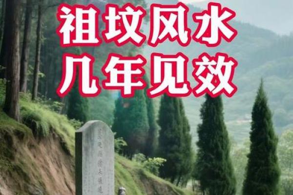 子女总是能当官的祖坟风水