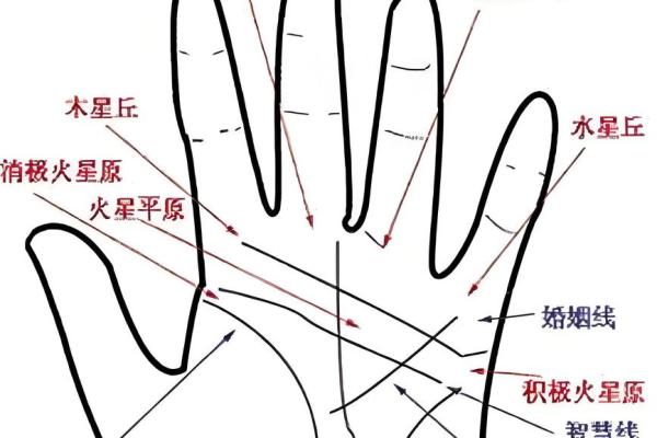 看手纹测命运图解 手相学图解算命大全
