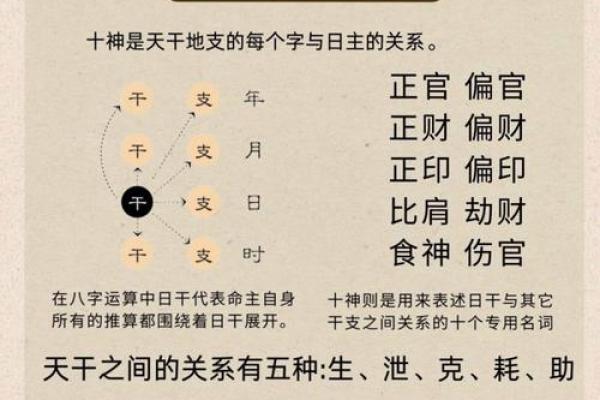 八字地支有寅辰,八字辰与寅的关系