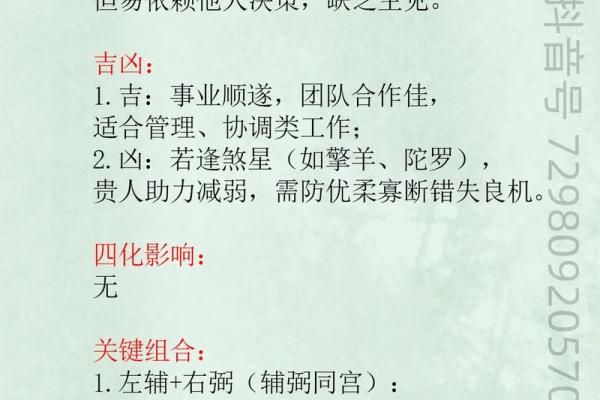 紫微斗数左辅星,紫微斗数左辅右弼同宫
